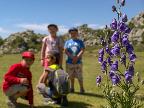 Montagnes du sud en familles