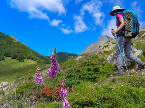 Parfum de GR20 … Sud