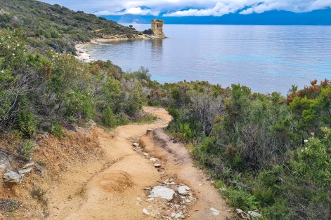 Trail et yoga dans les Agriates