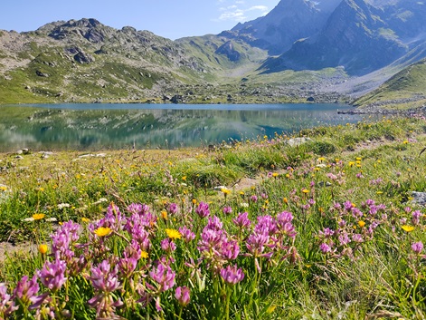 Itinérances alpines: randos sur-mesures dans les Alpes